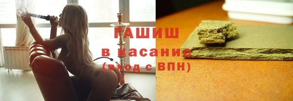 индика Богородицк