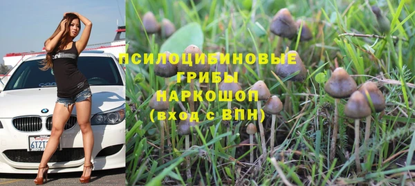 дурь Белокуриха