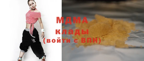 индика Богородицк