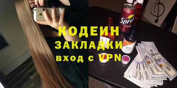 индика Богородицк