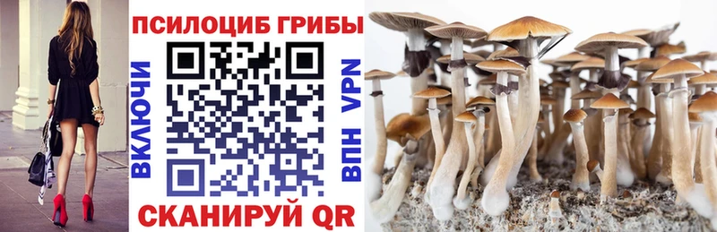 как найти закладки  Динская  Псилоцибиновые грибы Magic Shrooms 